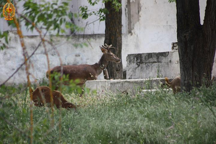 Encuentro 2013 106.jpg